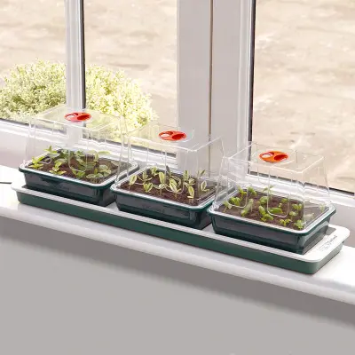 Miniväxthus 3 med undervärme, 76x18,5x19,5 cm värmeplatta 13W för snabb groning