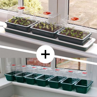 Miniväxthus med 3 + 7 kupor med undervärme