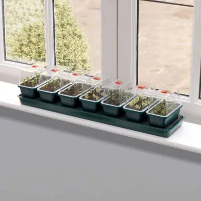 Miniväxthus med bevattning för fönsterbrädan - 7 kupor