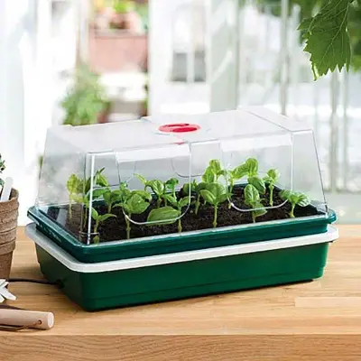 Miniväxthus med undervärme