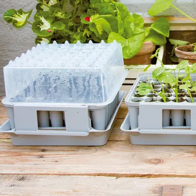 Ett kompakt miniväxthus med pluggbrätte som gör det möjligt att odla hela 49 pluggplantor med djupa och fina rotsystem.