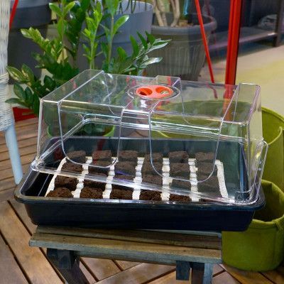 Root Riot 24-pack med minidrivhus