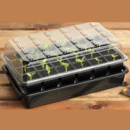 Seed Success miniväxthus med bevattning, 24 celler