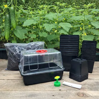 Startkit för gurka, gurkfrön, krukor, miniväxthus, såjord med perlite, plantetiketter, stril.