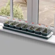 Sju miniväxthus med undervärme som har en storlek som gör den idealisk för fönsterbrädan.