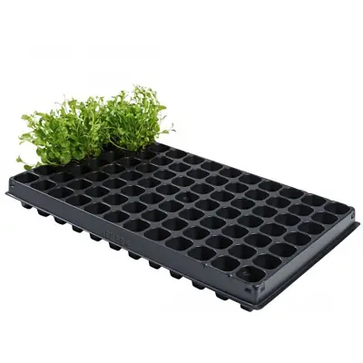 Enkelt pluggbrätte 84 celler, 2-pack, för förodling, inomhus/växthus, 53x31x5,5 cm.