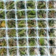 Filnet Växthusplast 1.8x50m