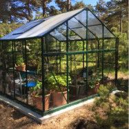Glasväxthus 6,4 m² | 4 mm säkerhetsglas | 5 års stormgaranti | Grön