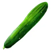 Gurka'Gergana', grön, krispig, ca 30 cm lång, friland/växthus, ca 10 frön, öppenpollinerad, lättodlad.