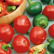 Körsbärspaprika'Topik', lackröda frukter, 3–3,5 cm, odlas i växthus eller skyddat utomhus.