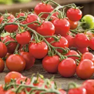 Körsbärstomat'Cerise', ekologisk, röd, söt, ettårig, sol, ca 50 frön, skörd juni-oktober.