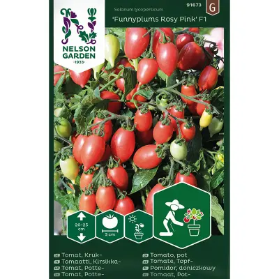 Körsbärstomat'Funnyplums Rosy Pink'F1, ca 5 frön,Dvärgbusktomat,Växthus, Ute skyddat läge. Kruka, Balkong, Ampel, Inomhus