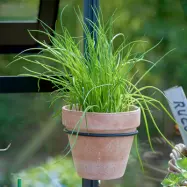 Krukhållare för växthus 14 cm