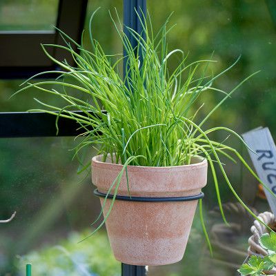 Krukhållare för växthus 14 cm