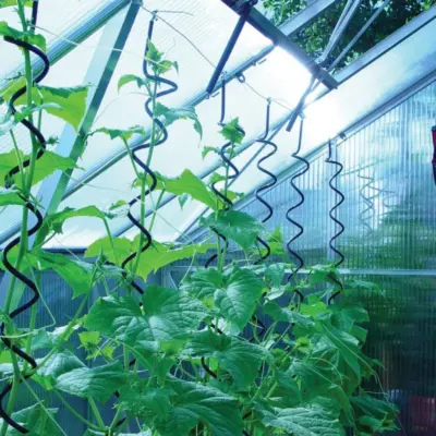 Plantspiral för växthus Juliana - 3-pack växthustillbehör