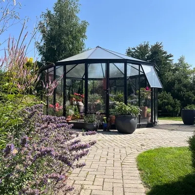 Ringo 16,6 kvm Poly, lackerat