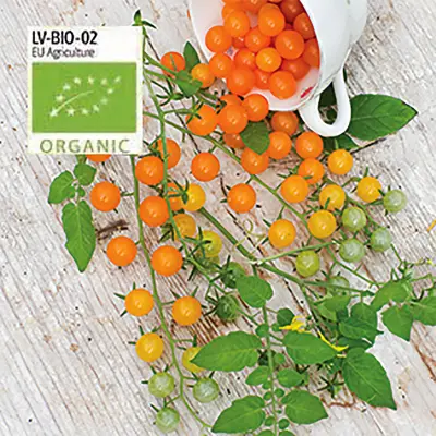 Tomat, Golden Currant, ekologisk, 5 frön,Högväxande,Växthus, Ute skyddat läge