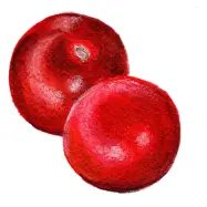 Tomat'Black Ethiopian', mörkt brunröd, söt och rik smak, halvhög 160 cm, 15 frön, växthus/friland.