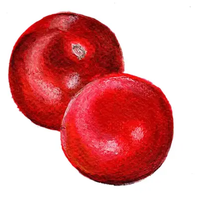 Tomat'Black Ethiopian', mörkt brunröd, söt och rik smak, halvhög 160 cm, 15 frön, växthus/friland.