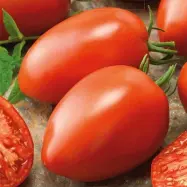 Tomat'Brooks'F1, röd, avlång plommonform, hög, sjukdomsresistent, 10 frön, för växthus.