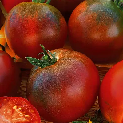 Tomat'Brunito'F1