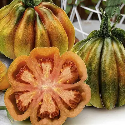 Tomat'Kokoro'F1, röd, smakrik, halvhög (1,2-1,6 m), indeterminant, 5 frön, idealisk för växthus.