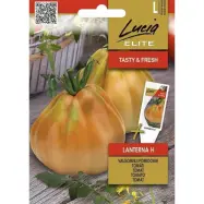 Tomat'Lanterna'F1, 10 frön,Högväxande,Växthus