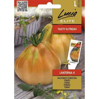 Tomat'Lanterna'F1, 10 frön,Högväxande,Växthus