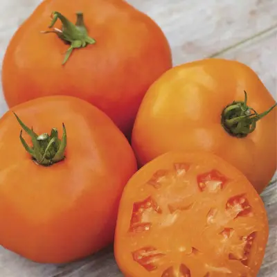 Tomat'Orange Slice'F1, 10 frön,Högväxande,Växthus