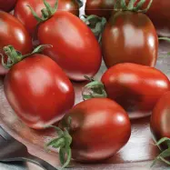 Tomat'Prune Noire', plommonform, 25-30 g, starkt, sött, saftigt fruktkött, växthus/friland.