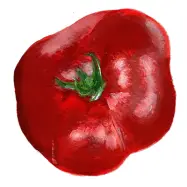 Tomat'Sasha Altai', röd, medelstor, 100-200 g, kraftiga plantor, 2 m hög, växthus/friland.