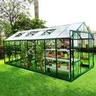 Växthus 12,7 m² | 4 mm säkerhetsglas | 5 års stormgaranti | Grön