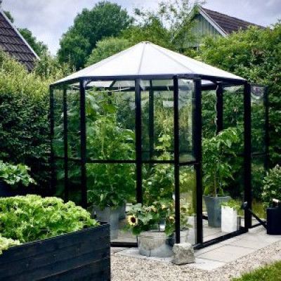 Växthus Merkurius - 3,7 m² + Växthusrengöring