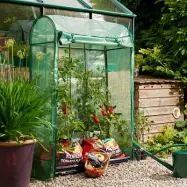 Växthus, Tomato Growhouse