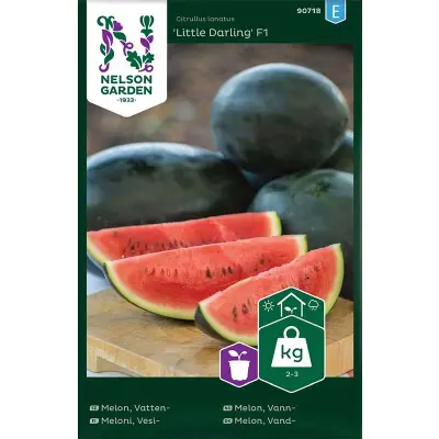 Vattenmelon'Little Darling'F1, röd, söt, oval form, växthus, lucker, näringsrik jord, sol.
